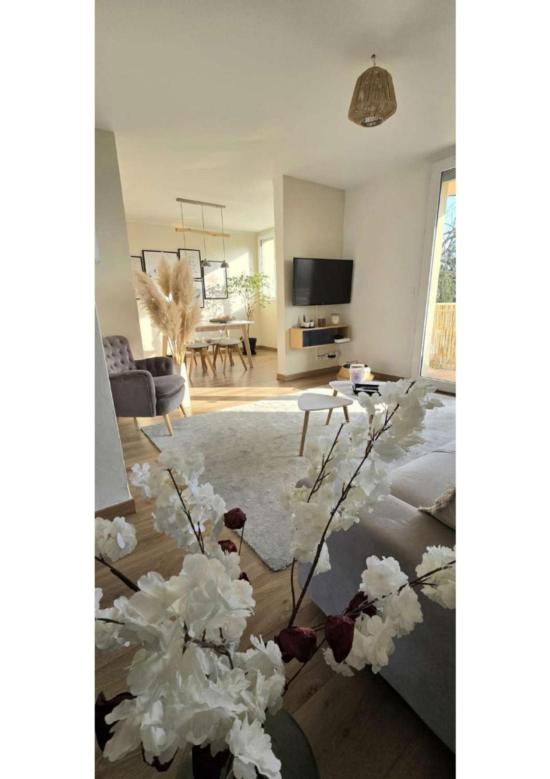 Superbe T3 Cosy, Parking Gratuit + Balcon Apartment Riom Bagian luar foto