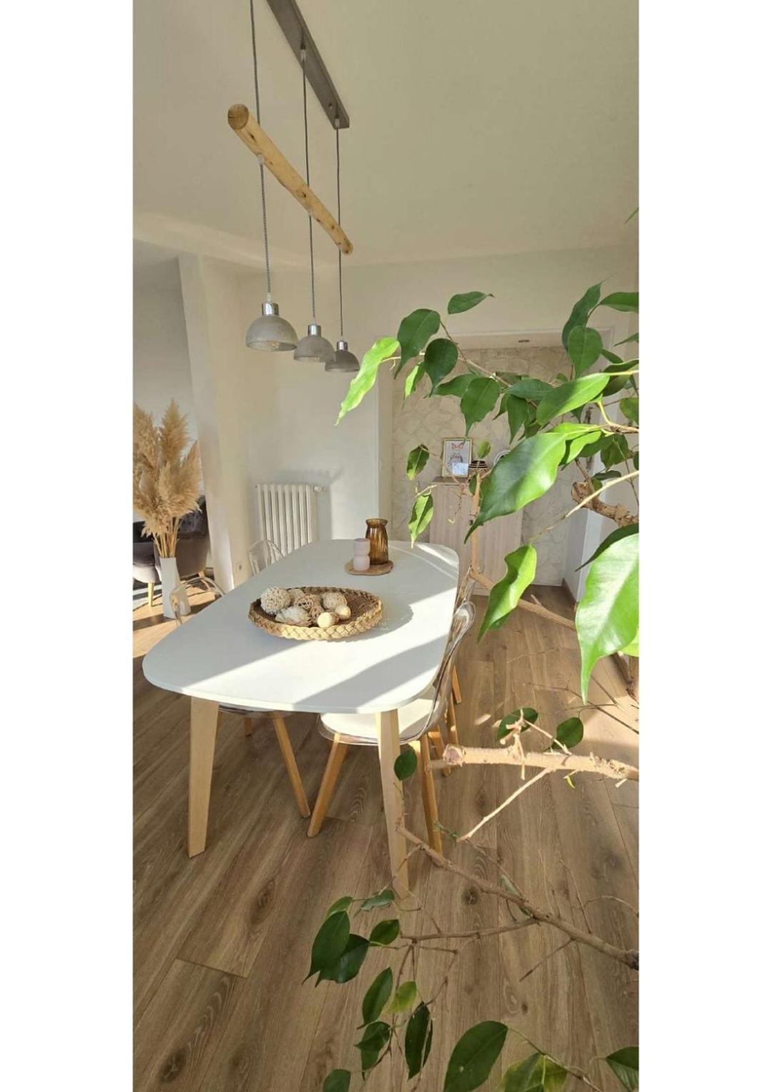 Superbe T3 Cosy, Parking Gratuit + Balcon Apartment Riom Bagian luar foto